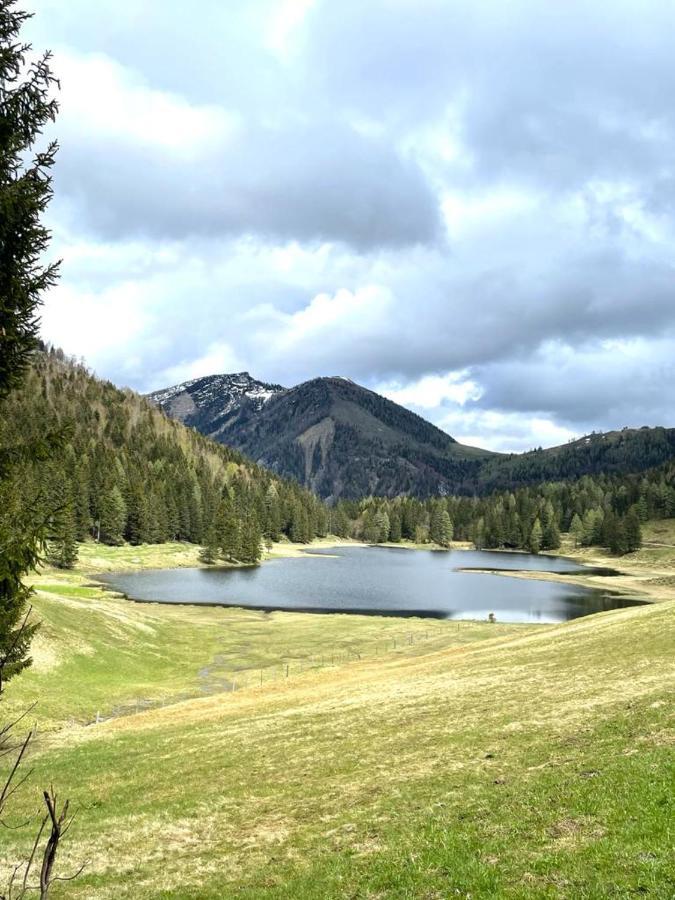 Tauglerei Appartement Kamin In Den Zauberbergen Санкт-Коломан Экстерьер фото